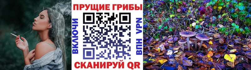 хочу   kraken ONION  Псилоцибиновые грибы мухоморы  Петушки 